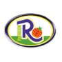 Rubikon