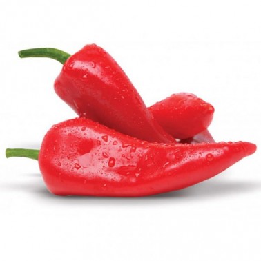 RED PEPPER ''FRUKTINA FRESH" PRICE PER KG.