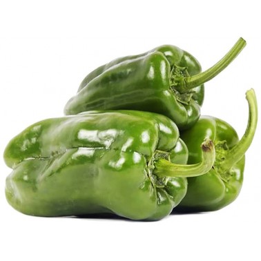 GREEN PEPPER ''FRUKTINA FRESH" PRICE PER KG.