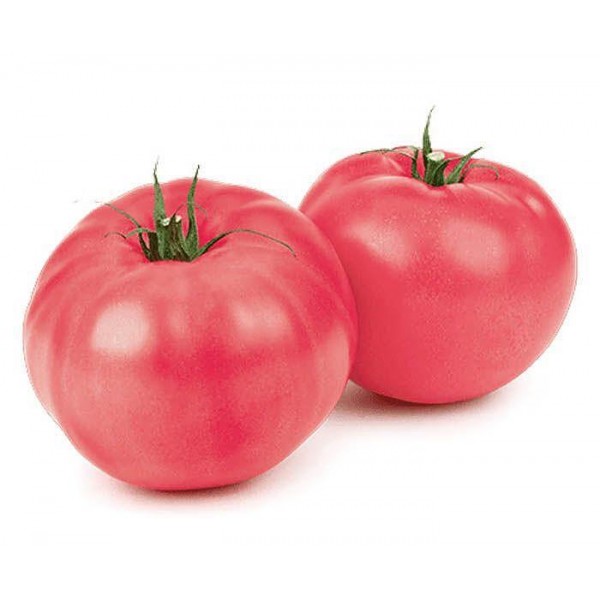 PINK TOMATO BIG ''FRUKTINA FRESH" PRICE PER KG.
